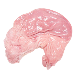 Pork Tripe (Raw Material)