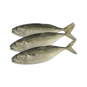 Kampung Fish