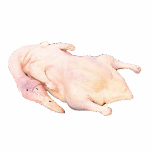 Whole Duck