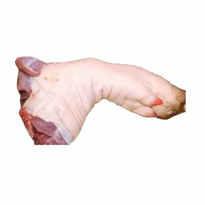 Pork Trotter
