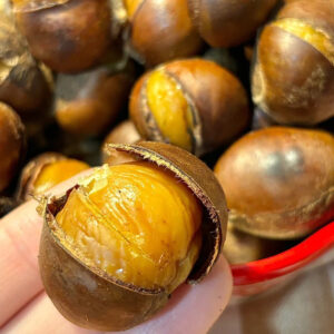 Ice Chestnut